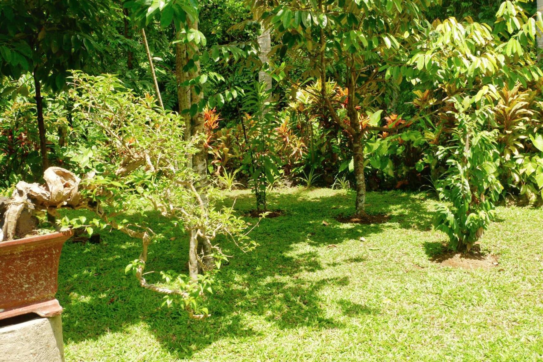 Artja Inn Ubud Exterior foto